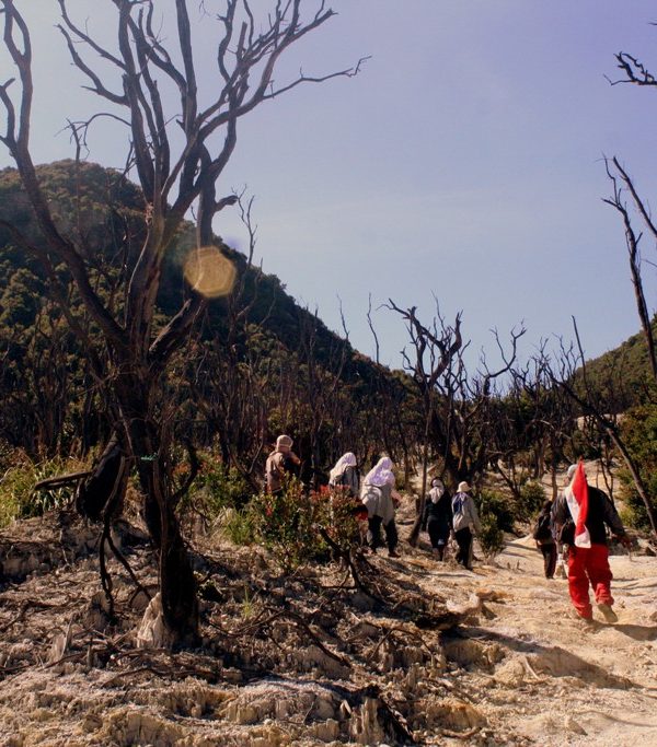 Mendaki Gunung Papandayan di Era Pandemi, Protokol Kesehatan